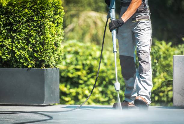 Best Graffiti Removal  in Robbinsdale, MN