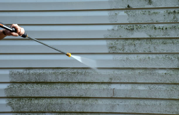 Best House Exterior Washing  in Robbinsdale, MN